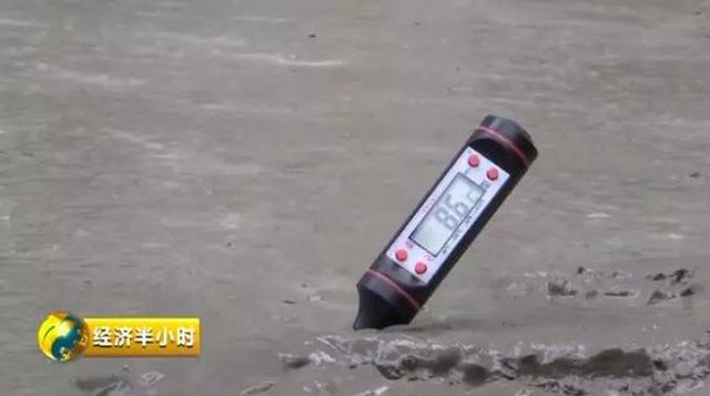 雾炮喷雾机应用.jpg